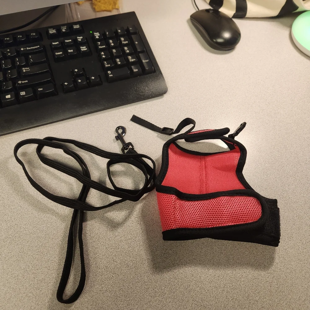 Kaytee Comfort Harness & Leash